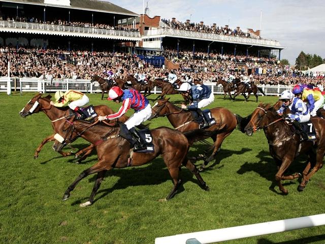 Ben Fearnley fancies two horses at each-way prices in the Ayr Gold Cup